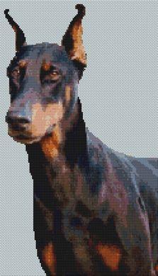 (image for) Doberman - Jetta